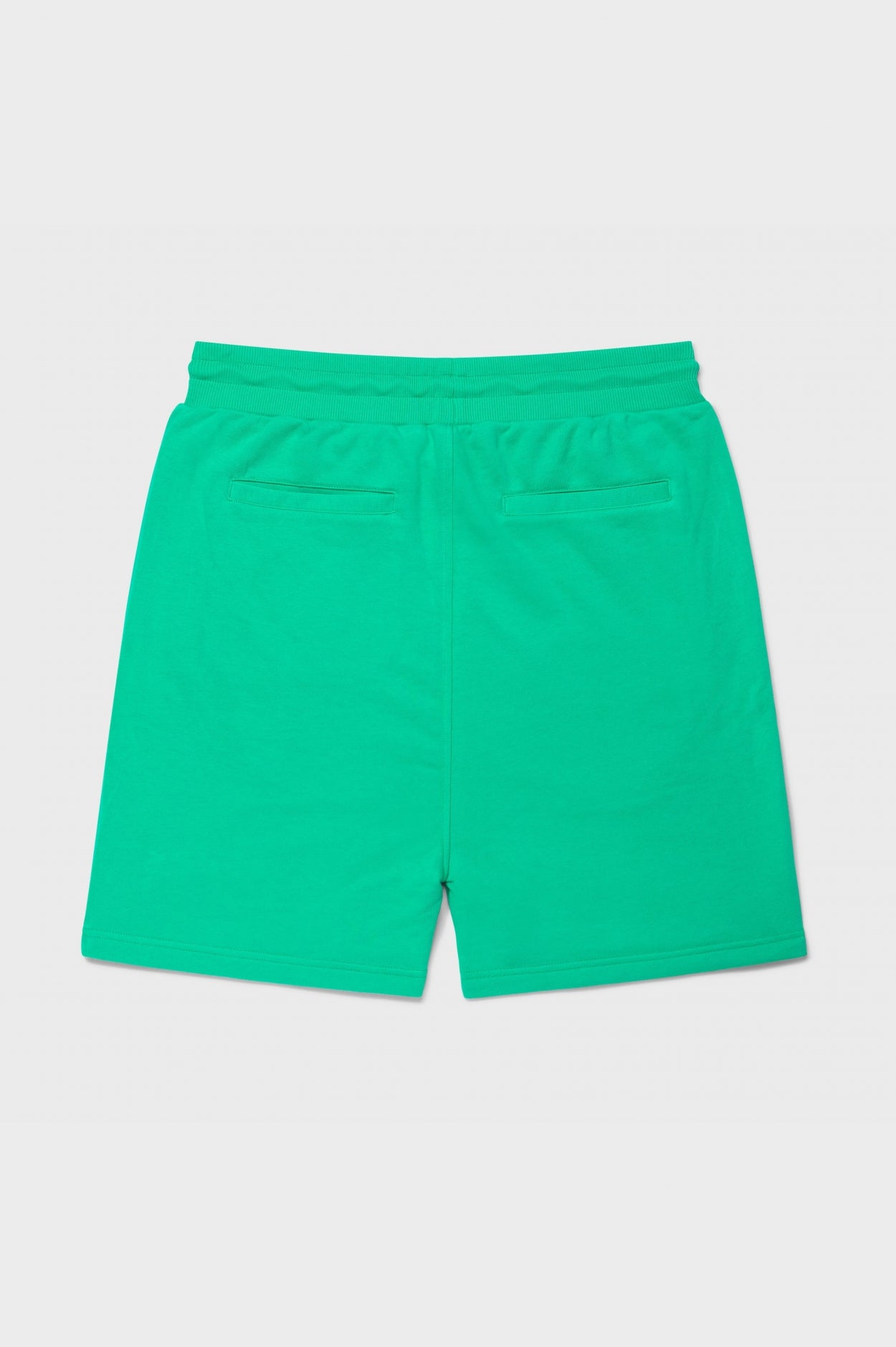 ZION SHORTS | GREEN & WHITE
