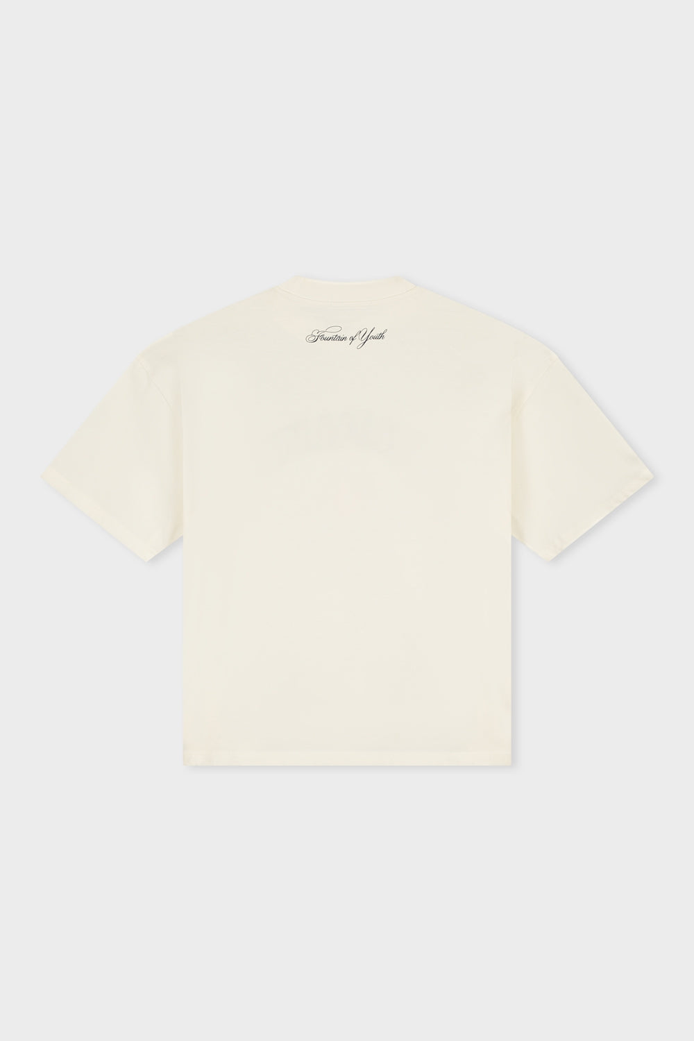 DANI BOXY FIT TEE | OFF-WHITE