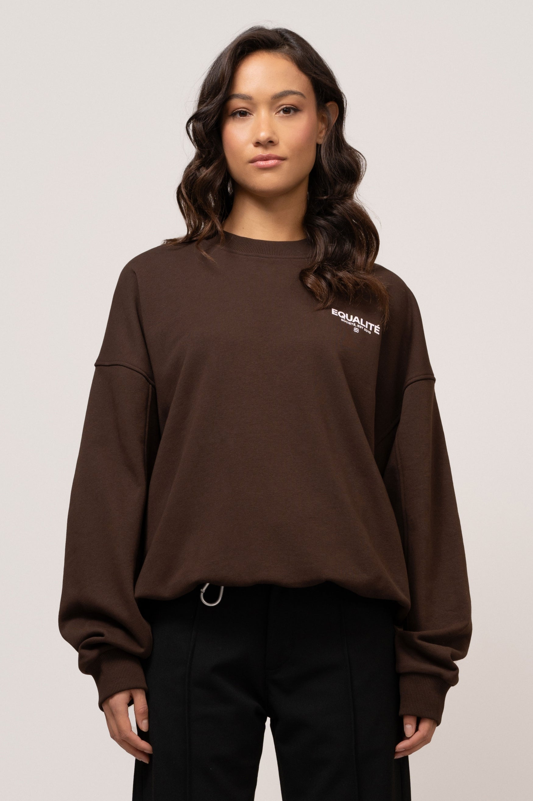 SOCIETÉ OVERSIZED SWEATER | BROWN